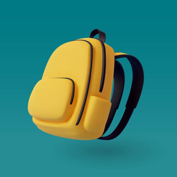 Laptop Bag